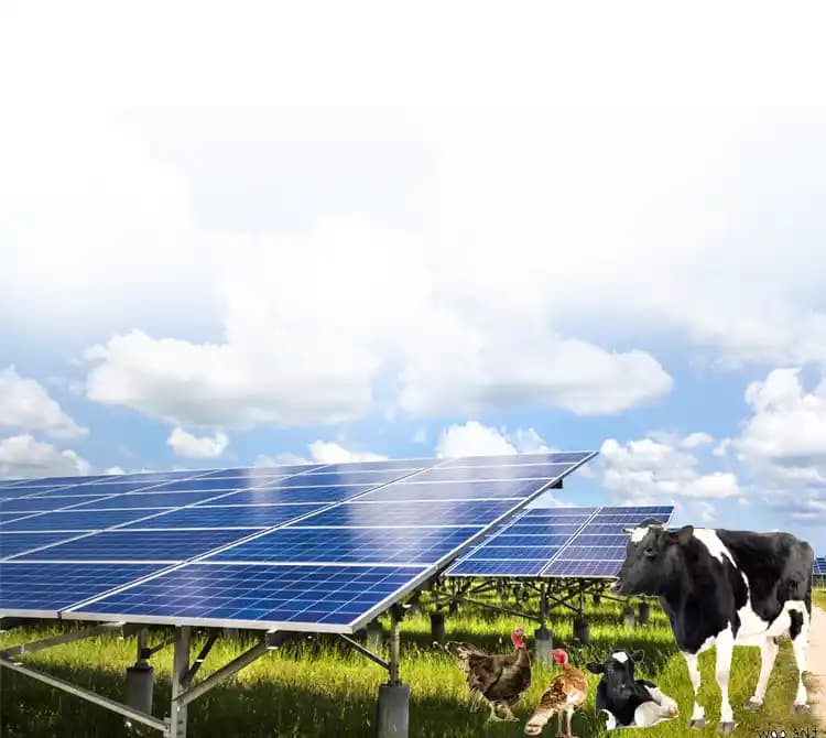 Farm Invoice Generator banner