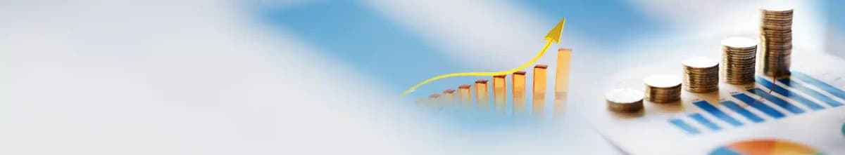 Finance Invoice Generator banner