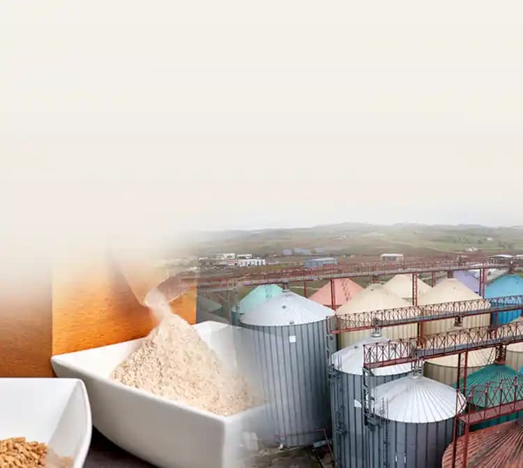 Flour Mills Invoice Generator banner