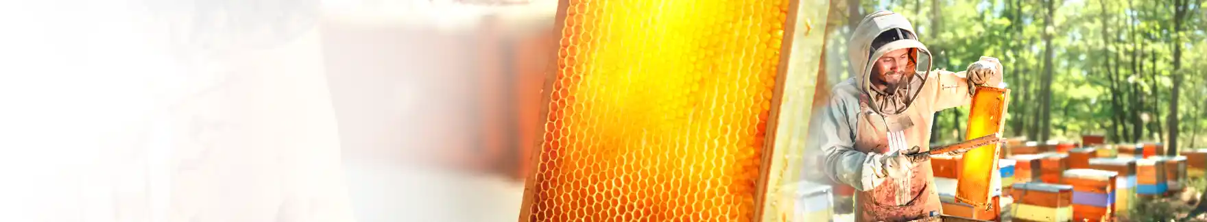 Honey Gathering Invoice Generator banner