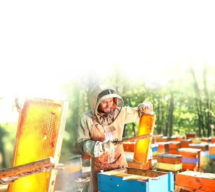 Honey Gathering Invoice Generator banner